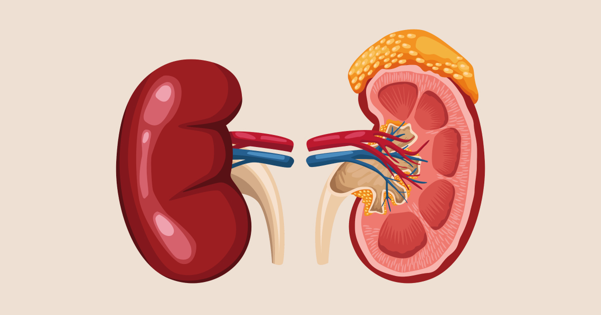 Glomerulonephritis